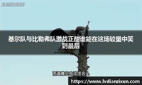 博鱼官方网站